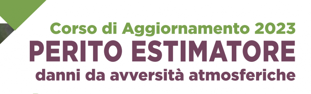 Corso di aggiornamento 2023 Perito Estimatore